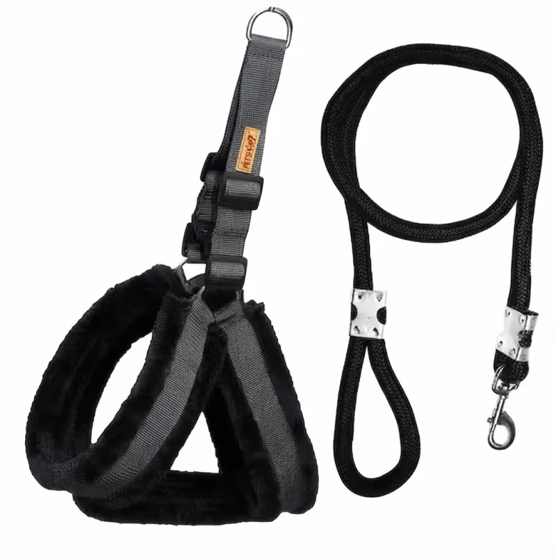 Petshop7 Nylon Dog Harness & Leash Set for Small Dogs